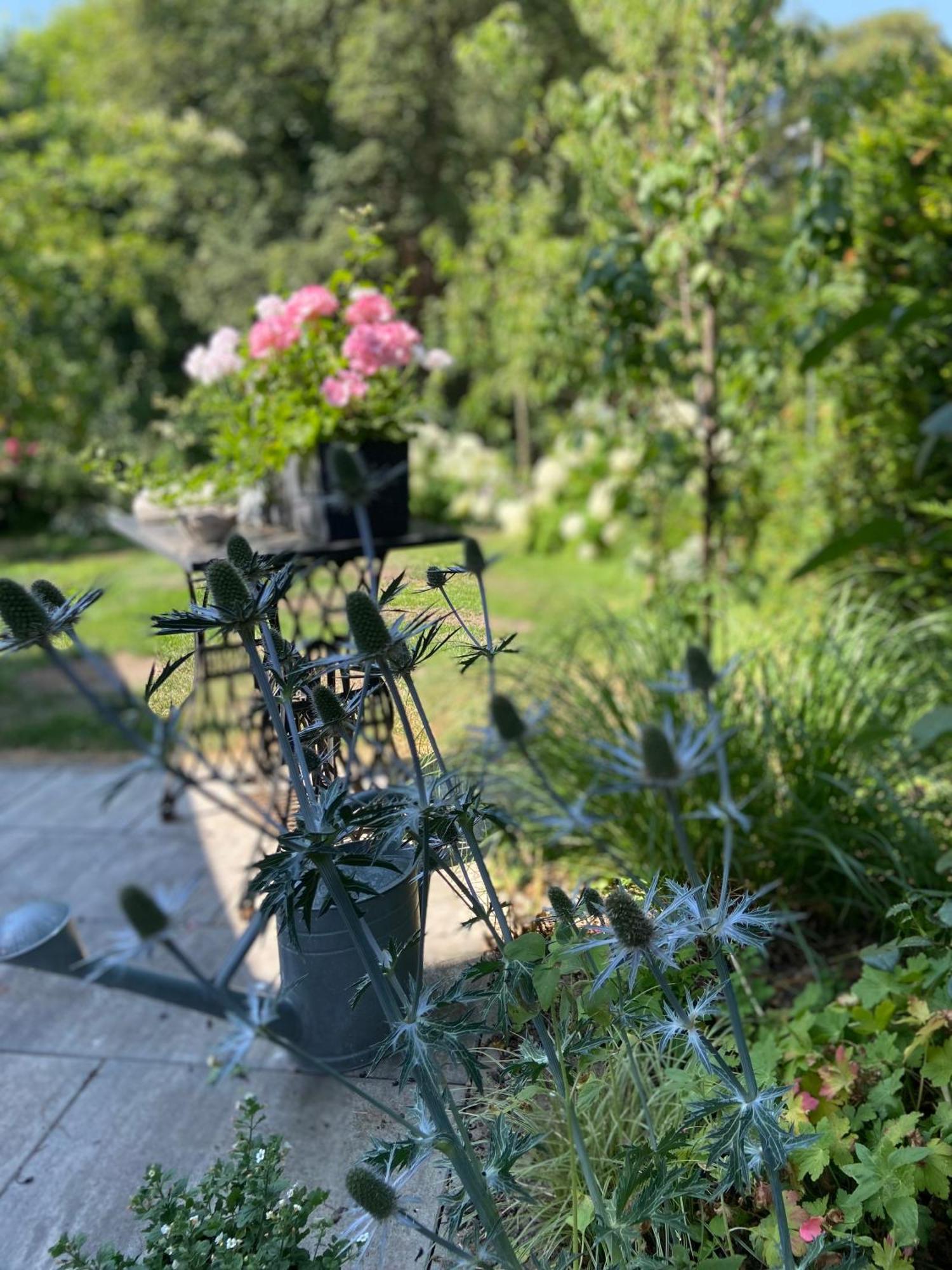 Romantik Idyll Am Tiefental Konigsbruck エクステリア 写真